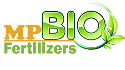 MP BIO FERTILIZERS 